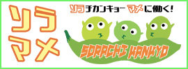 ソラマメ